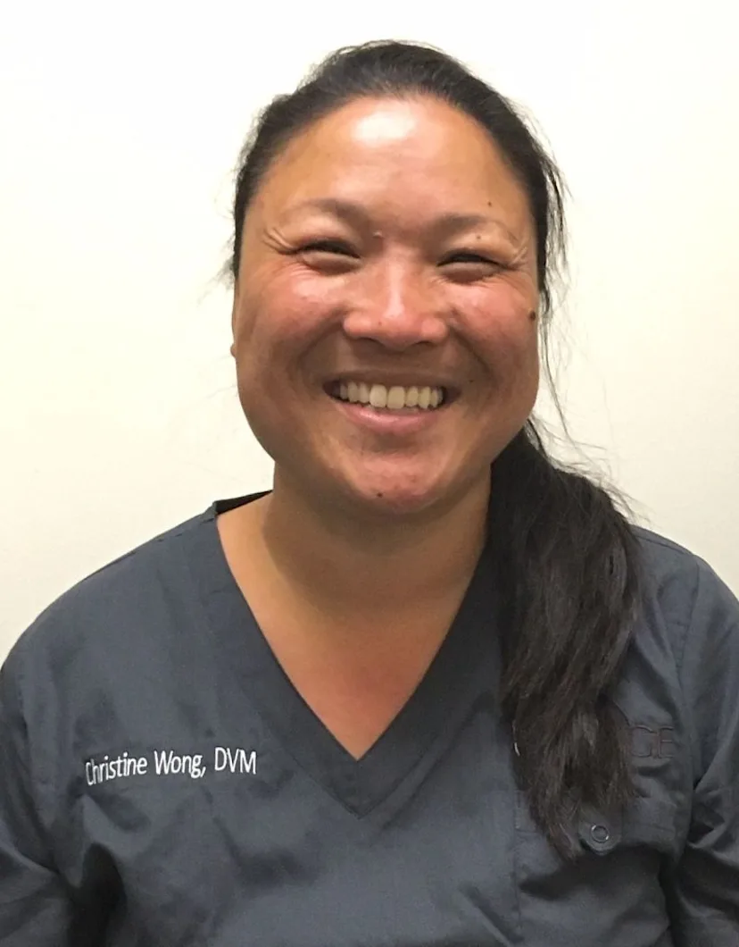 Christine Wong SAGE Veterinary Centers Christine wong sage veterinary centers